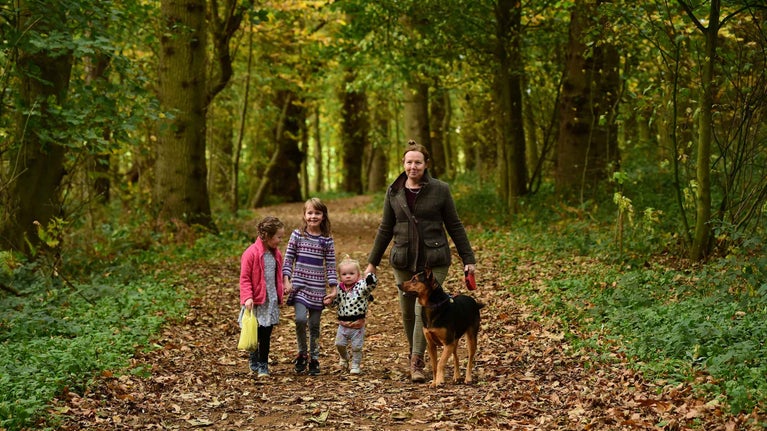 Visitors and their dog on an autumn walk in the woodland at Blickling, Norfolk